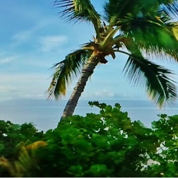 Hotel Molokai - View from our room, ground floor beach bungalow! - Hotels Near Me - Kaunakakai, Hawaii