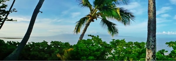 Hotel Moloka'i by null