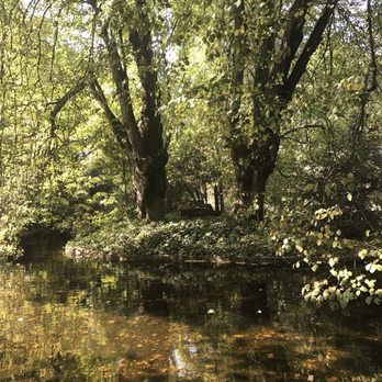 Parque de Serralves - Parks Near Me - Porto, 13