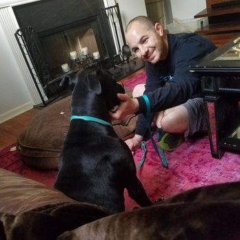 Tenasity Dog Training - Chloe and Gabe - Pet Training Near Me Tenasity Dog Training - Chloe and Gabe - Pet Training Near Me
