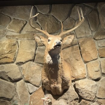 CR's The Restaurant - El Venao - New American Near Me - Hampton, New Hampshire