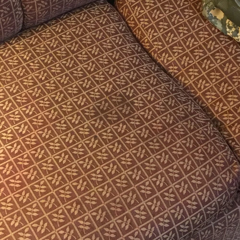 Stain on the couch!
