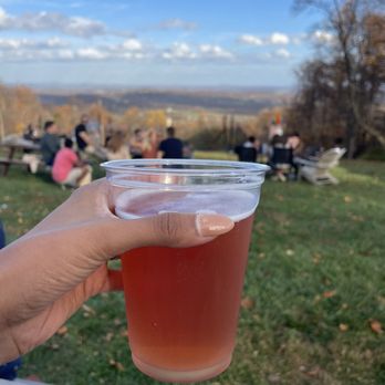 Bear Chase - Mr. Pink - Breweries Near Me - Bluemont, Virginia