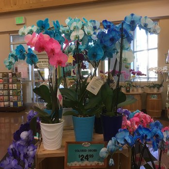 Sprouts Farmers Market - Grocery Near Me - Denver, Colorado Sprouts Farmers Market - Grocery Near Me - Denver, Colorado