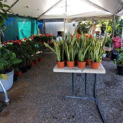 Firestone Nursery