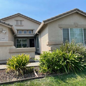 Forever Green Cali - Before Forever Green landscape - Landscaping Near Me Forever Green Cali - Before Forever Green landscape - Landscaping Near Me