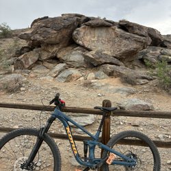 Cactus Adventures