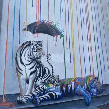 Sleeping Tiger Coffees - Mural - Coffee Roasteries Near Me - Carlsbad, California Sleeping Tiger Coffees - Mural - Coffee Roasteries Near Me - Carlsbad, California
