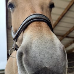 Ivey Ranch Park Riding Academy