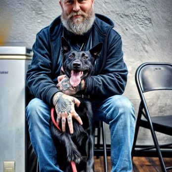 Nitro K-9 - Pet Training Near Me - Bothell, Washington