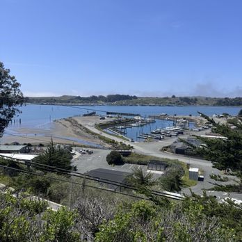The Birds Cafe - Seafood Near Me - Bodega Bay, California The Birds Cafe - Seafood Near Me - Bodega Bay, California