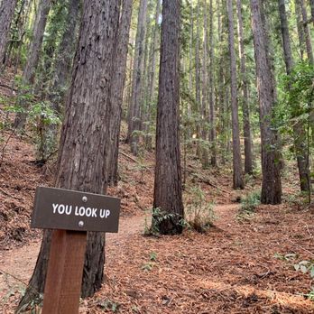 Villa Montalvo - Hiking Near Me - Saratoga, California Villa Montalvo - Hiking Near Me - Saratoga, California