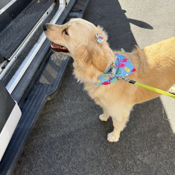 Mobile Pet Shine - Pet Groomers Near Me - Englewood, Colorado Mobile Pet Shine - Pet Groomers Near Me - Englewood, Colorado