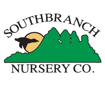 Southbranch Nursery - Home & Garden Near Me - Brentwood, Tennessee Southbranch Nursery - Home & Garden Near Me - Brentwood, Tennessee