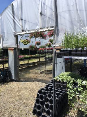 ED’S FEED & SEED - Updated January 2025 - 11 Photos & 10 Reviews