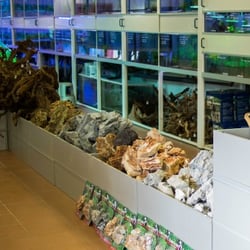 H2O Aquarium