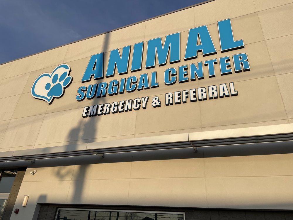 ANIMAL SURGICAL CENTER 529 Atlantic Ave, Oceanside, New York