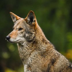 user provided Point Defiance Zoo & Aquarium photo