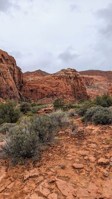 Snow Canyon State Park by null