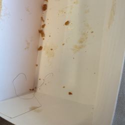 The hair that was in the food.