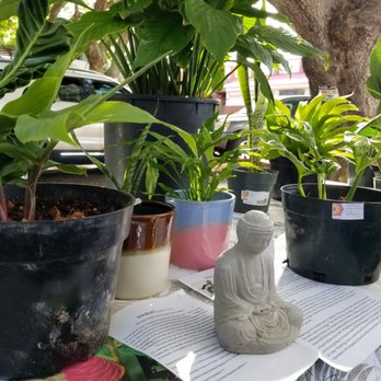 Gratitude Greenhouse - Serene... - Gardeners Near Me Gratitude Greenhouse - Serene... - Gardeners Near Me