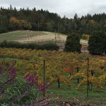 Rombauer Vineyards - Wineries Near Me - St. Helena, California