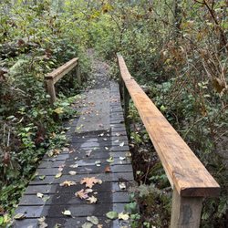 Fauntleroy Park
