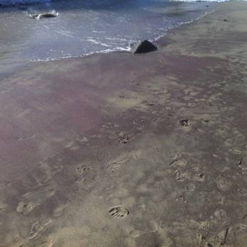 Pfeiffer Beach - Purple sand! - Beaches Near Me - Big Sur, California
