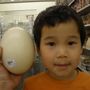 Hadley Fruit Orchards - Ostrich egg anyone? - Fruits & Veggies Near Me - Cabazon, California Hadley Fruit Orchards - Ostrich egg anyone? - Fruits & Veggies Near Me - Cabazon, California
