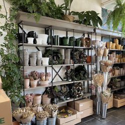 Paraíso Plant Studio