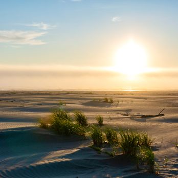 Breakwater Resort - Sunset Beach - Resorts Near Me - Grayland, Washington