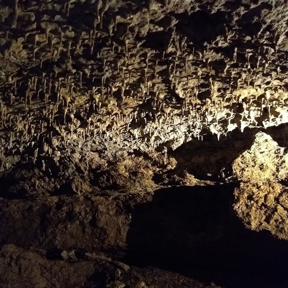Cascade Caverns - "Soda straws" that our guide said would work as a straw but taste like a felony lol - Tours Near Me - Boerne, Texas Cascade Caverns - "Soda straws" that our guide said would work as a straw but taste like a felony lol - Tours Near Me - Boerne, Texas