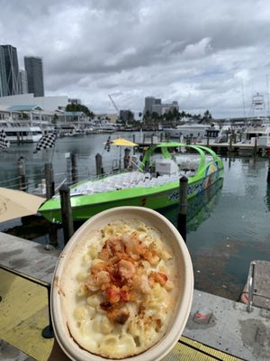 Mason's Famous Lobster Rolls by null