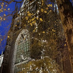 Ambassador City Centre Hotel - The Grote Kerk from the hotel doorstep, early morning.