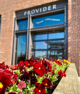 PROVIDER Cafe by null