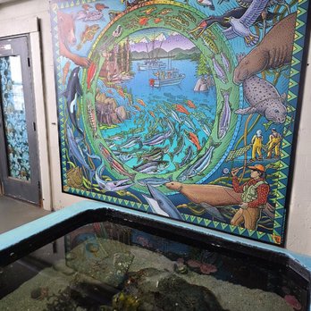 Sitka Sound Science Center - A mural inside the aquarium - Aquariums Near Me - Sitka, Alaska Sitka Sound Science Center - A mural inside the aquarium - Aquariums Near Me - Sitka, Alaska