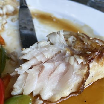 Paragon - undercooked tilapia teriyaki - Asian Fusion Near Me - Evanston, Illinois Paragon - undercooked tilapia teriyaki - Asian Fusion Near Me - Evanston, Illinois