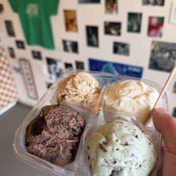 Please Come Again - Flight of four flavors - Ice Cream & Frozen Yogurt Near Me - Kailua, Hawaii