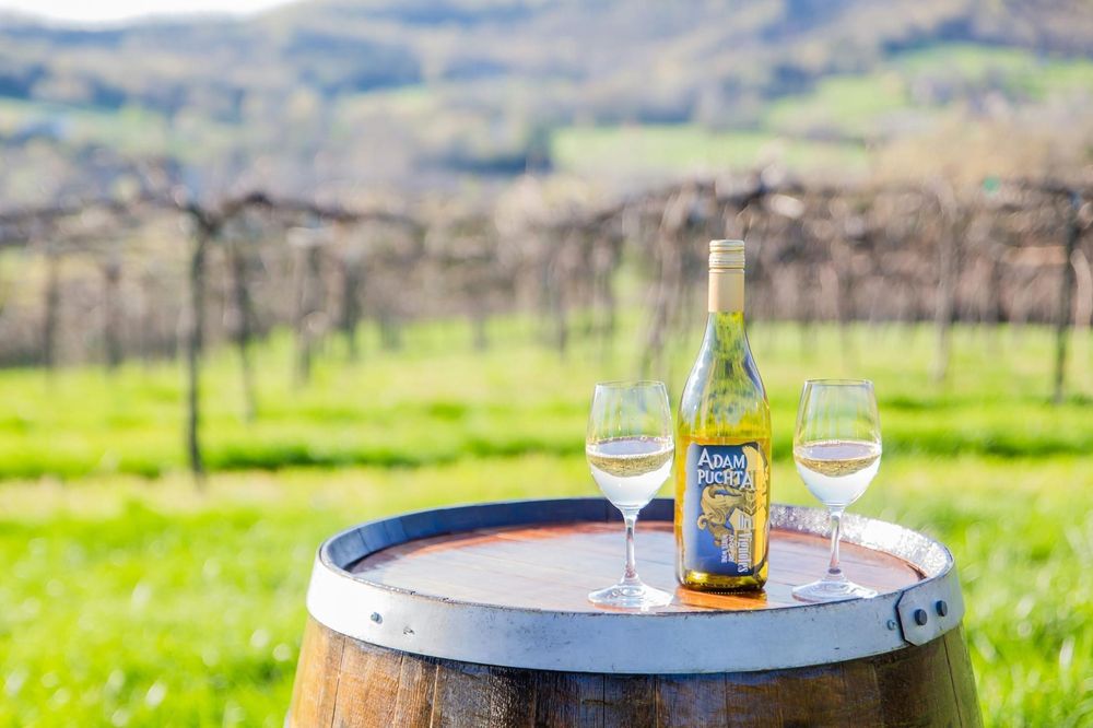 ADAM PUCHTA WINERY Updated July 2024 91 Photos & 94 Reviews 1947 Frene Creek Rd, Hermann