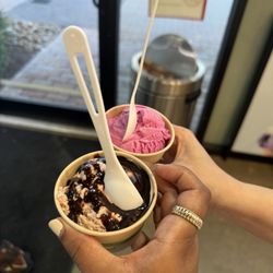 Lick Honest Ice Creams - Milk Chocolate & Roasted Beets & Fresh Mint
