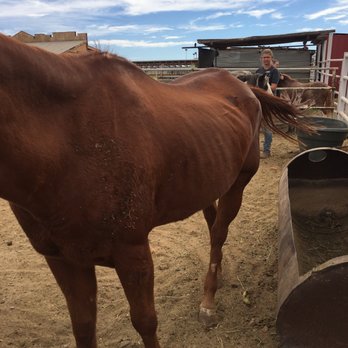Staheli Family Farm - Challenge Courses Near Me - Washington, Utah Staheli Family Farm - Challenge Courses Near Me - Washington, Utah