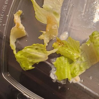 Ritual House - Nasty old lettuce. - Breakfast & Brunch Near Me - Pittsburgh, Pennsylvania