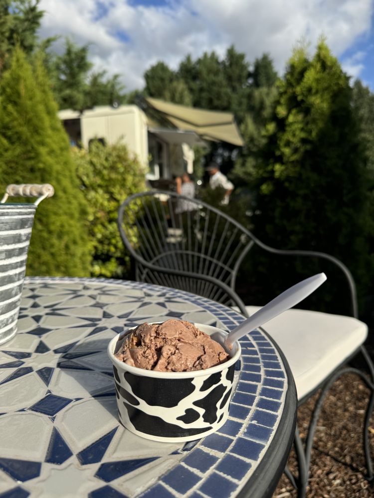 The Mobile Scoop Shop Logo
