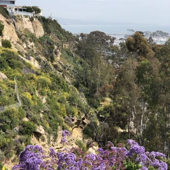 Bluff Top Trail - 3/26/19 - Parks Near Me - Dana Point, California