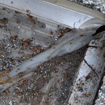 Pure Gutter Solutions - Gutter Services Near Me - Jackson, Michigan Pure Gutter Solutions - Gutter Services Near Me - Jackson, Michigan