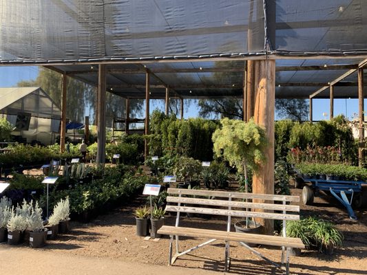 Whitfill Nursery by null