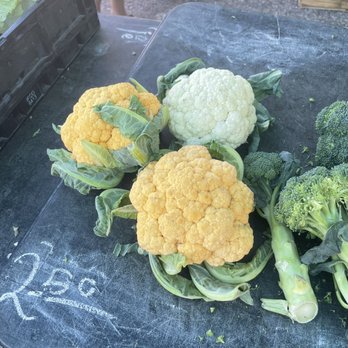 Coconut Point Farmers Market - cauliflower and broccoli - Farmers Market Near Me - Estero, Florida Coconut Point Farmers Market - cauliflower and broccoli - Farmers Market Near Me - Estero, Florida