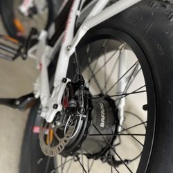 Kinetic PEV - KPEV Ebike Tuneup and Maintenance services,