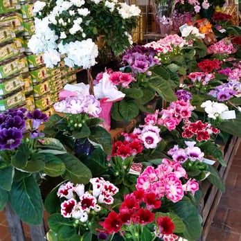 Delicious Orchards - Fruits & Veggies Near Me - Colts Neck, New Jersey