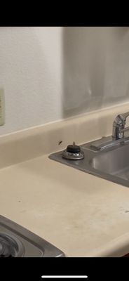 WoodSpring Suites Orlando International Drive by null